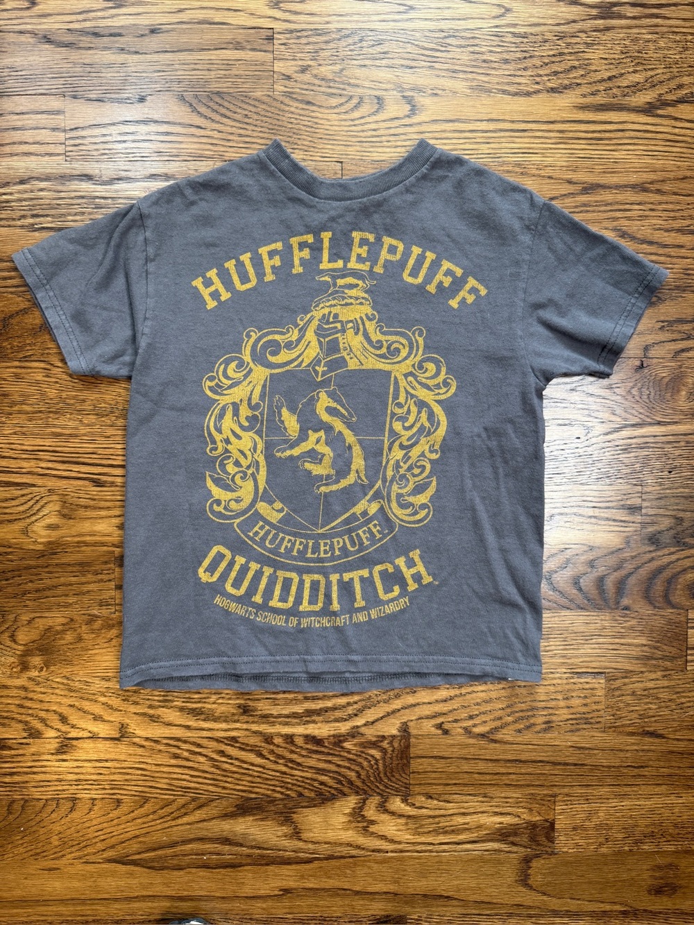 Harry Potter Unisex Hufflepuff Quidditch Kids Graphic Tee - Gray & Yellow XS 5-6